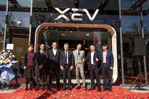 路迪视频,揭秘生活百态，畅享视觉盛宴